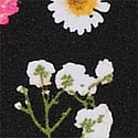Black Pressed Floral 