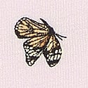 Delicate Violet Butterflies 