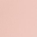 Bare Pink 