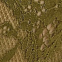 Green Chameleon 