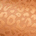 11262458-36F3