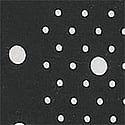 Black Dotted Stripe 