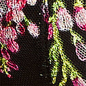 Black Wisteria 