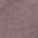 Cocoa Blush 