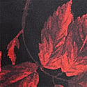 Rose Floral 