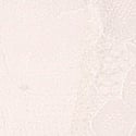 11262441-71YN