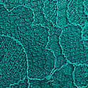11259394-34M8