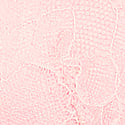 Angel Pink 
