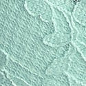 11245348-36BJ