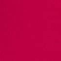Vibrant Fuchsia 
