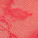 Hot Coral 