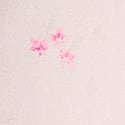 Pink Floral Butterflies 